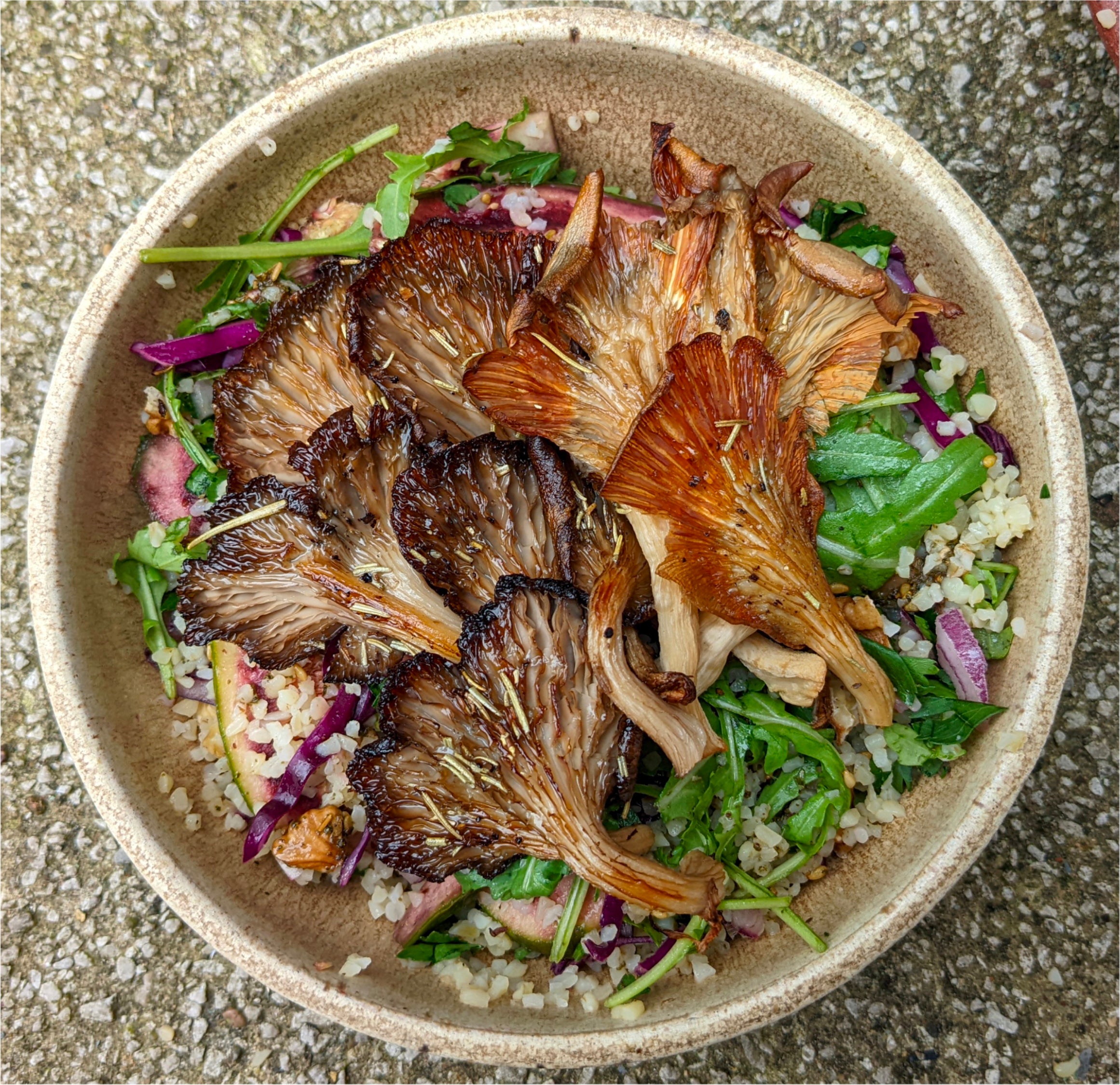 Mushroom Growing Workshops and more....