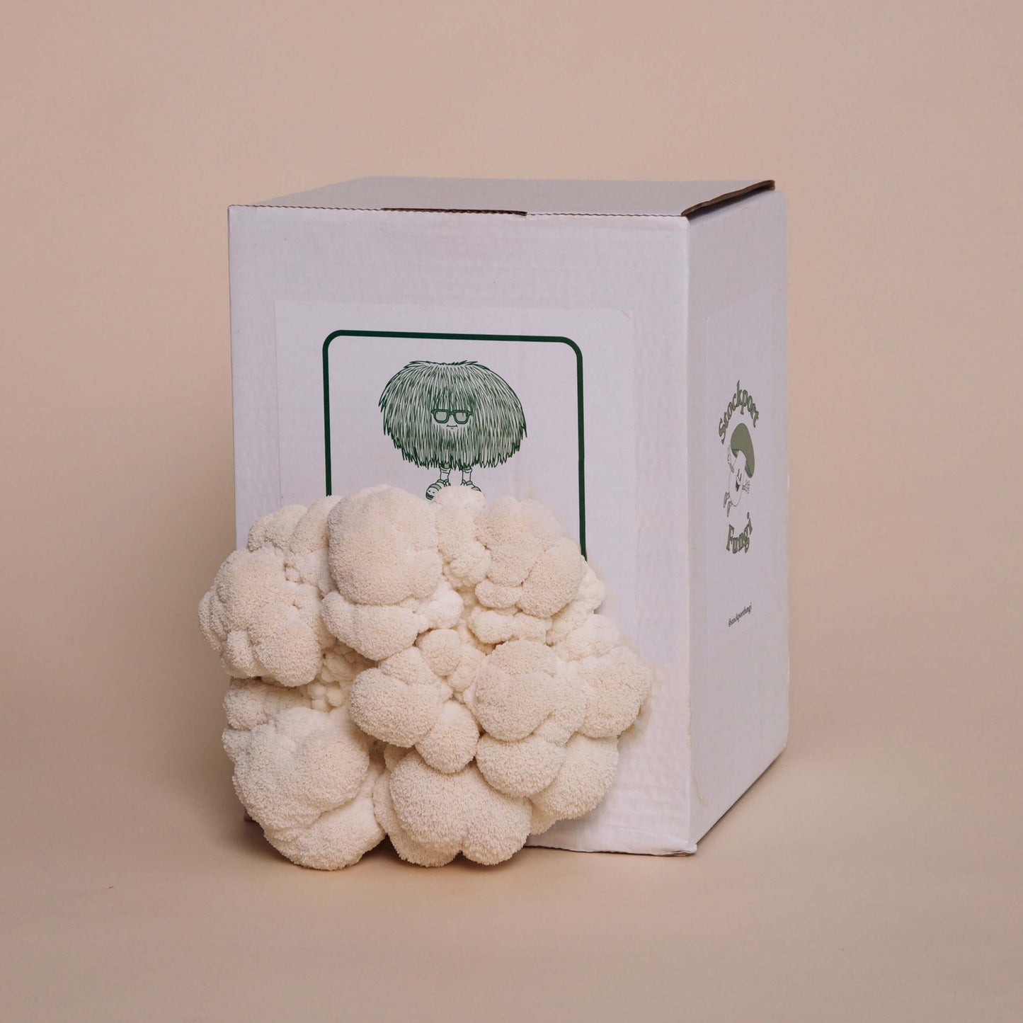 A white box with a green and brown logo on it, containing a Lions mane mushroom growing out of it of it.
