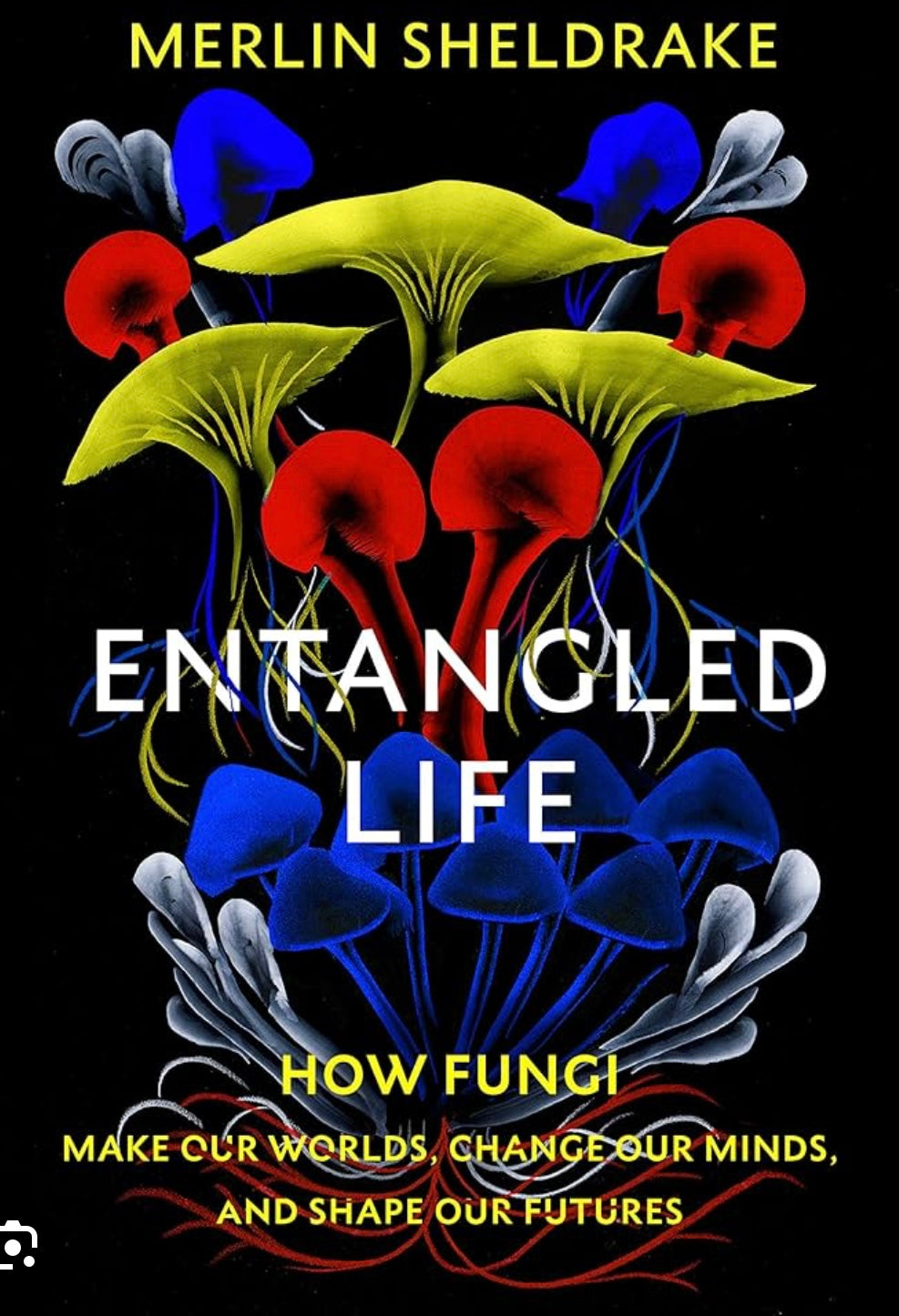 MUSHROOM BOOK CLUB FIRST TUESDAY OF EVERY MONTH