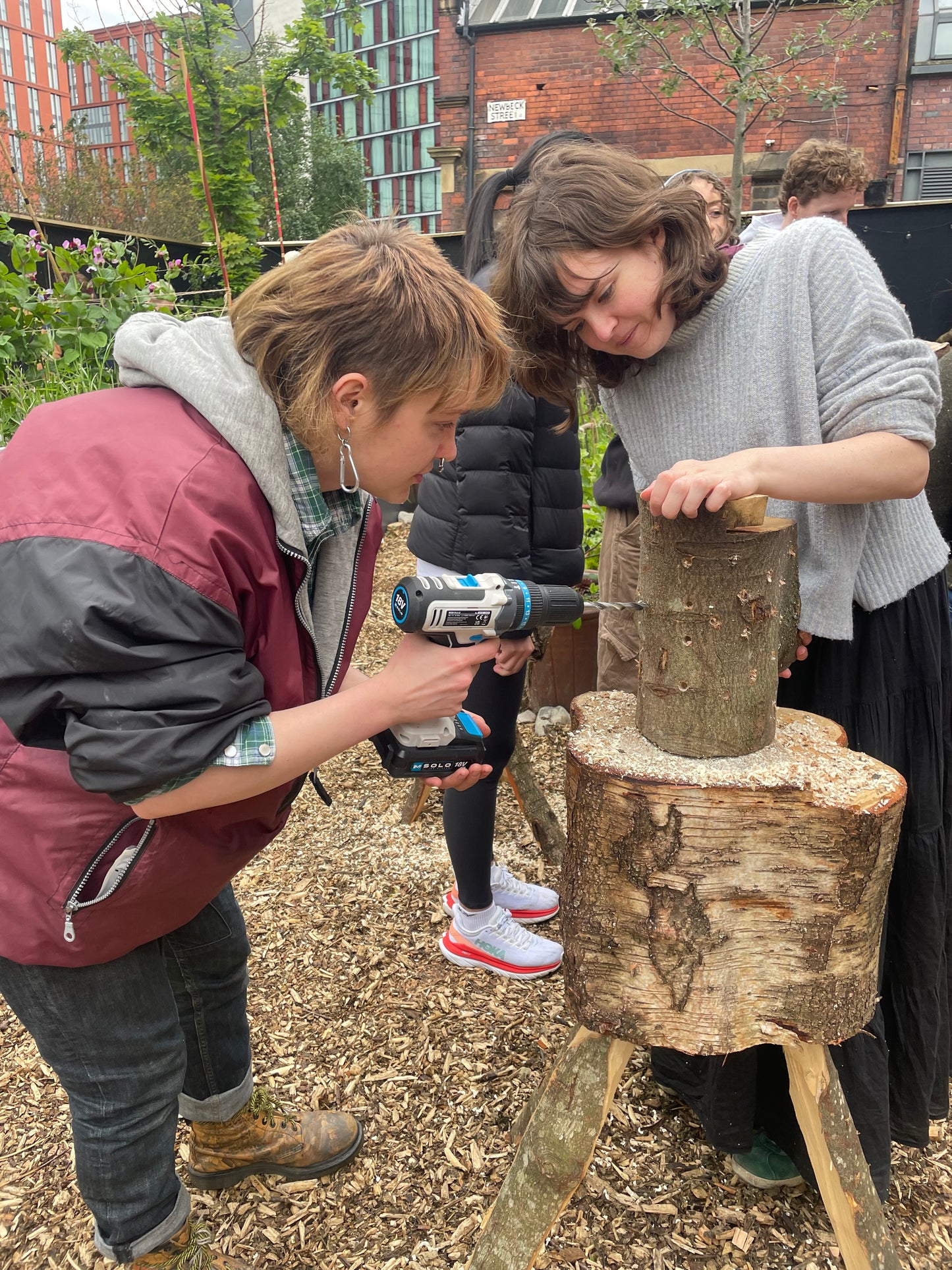 Outdoor Log Inoculation - 14th January - Stockport - 6:30pm
