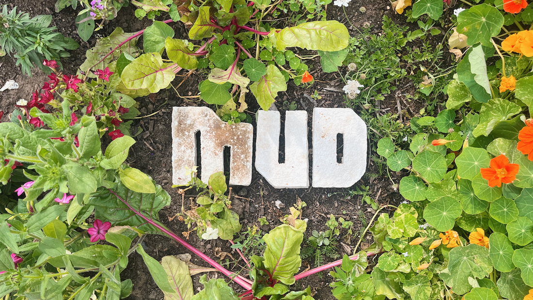 MUD CIC Logo