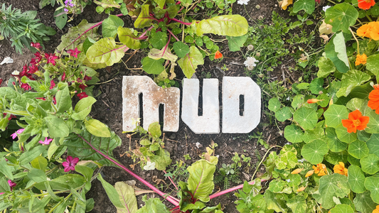 MUD CIC Logo