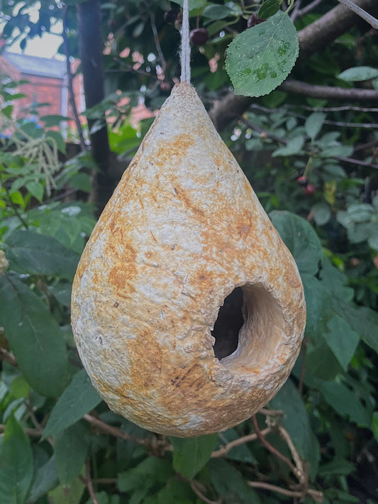 Birdhouse / Art Object