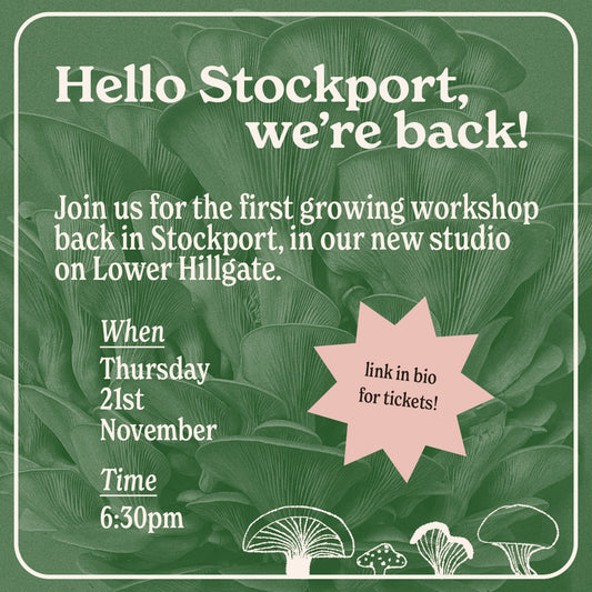 Hello Stockport! Mushroom cultivation workshop.