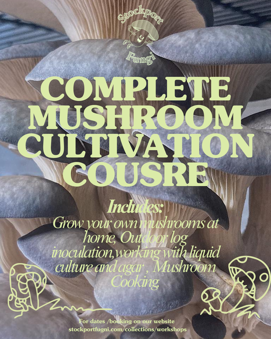 Complete Mushroom Cultivation Course - January / February 2026