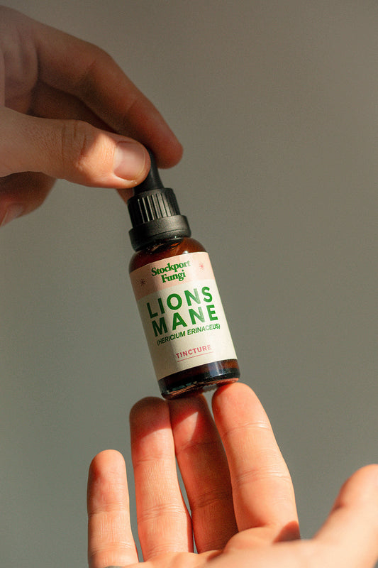 Lion's Mane Tincture