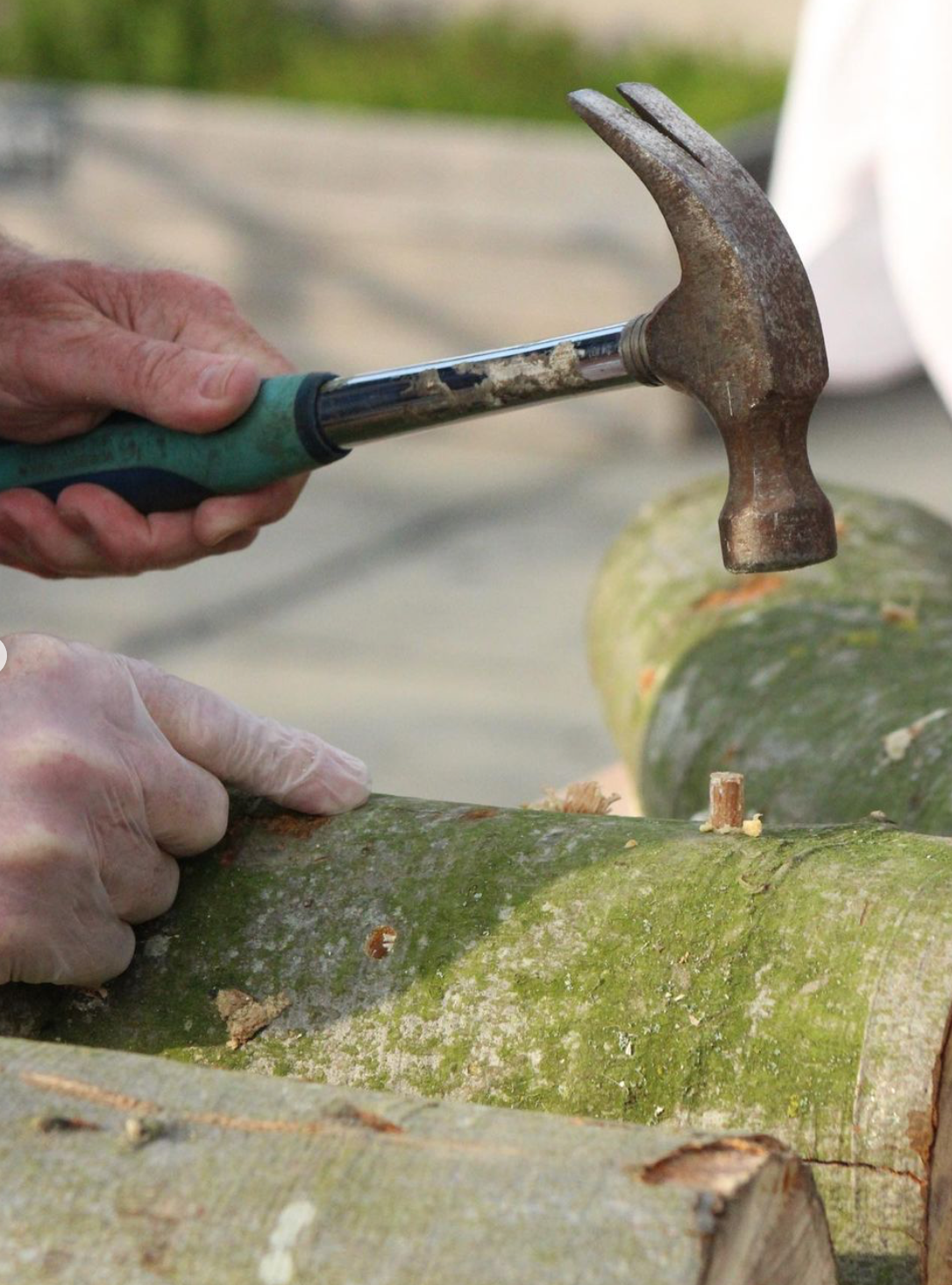 Outdoor Log Inoculation - 14th January - Stockport - 6:30pm