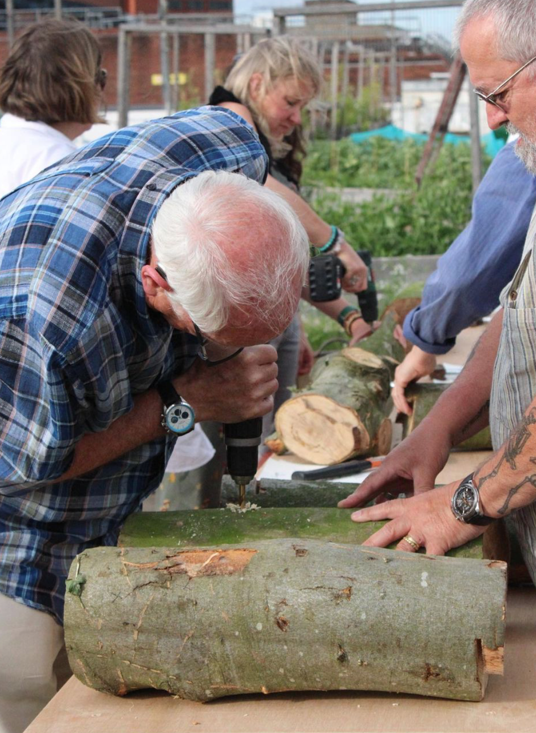 Outdoor Log Inoculation - 14th January - Stockport - 6:30pm