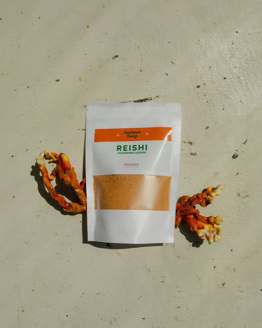 Reishi Powder