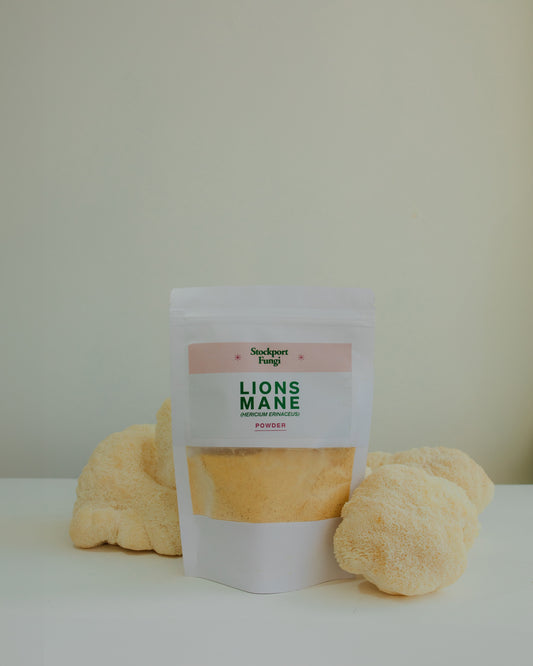 Lions Mane Powder