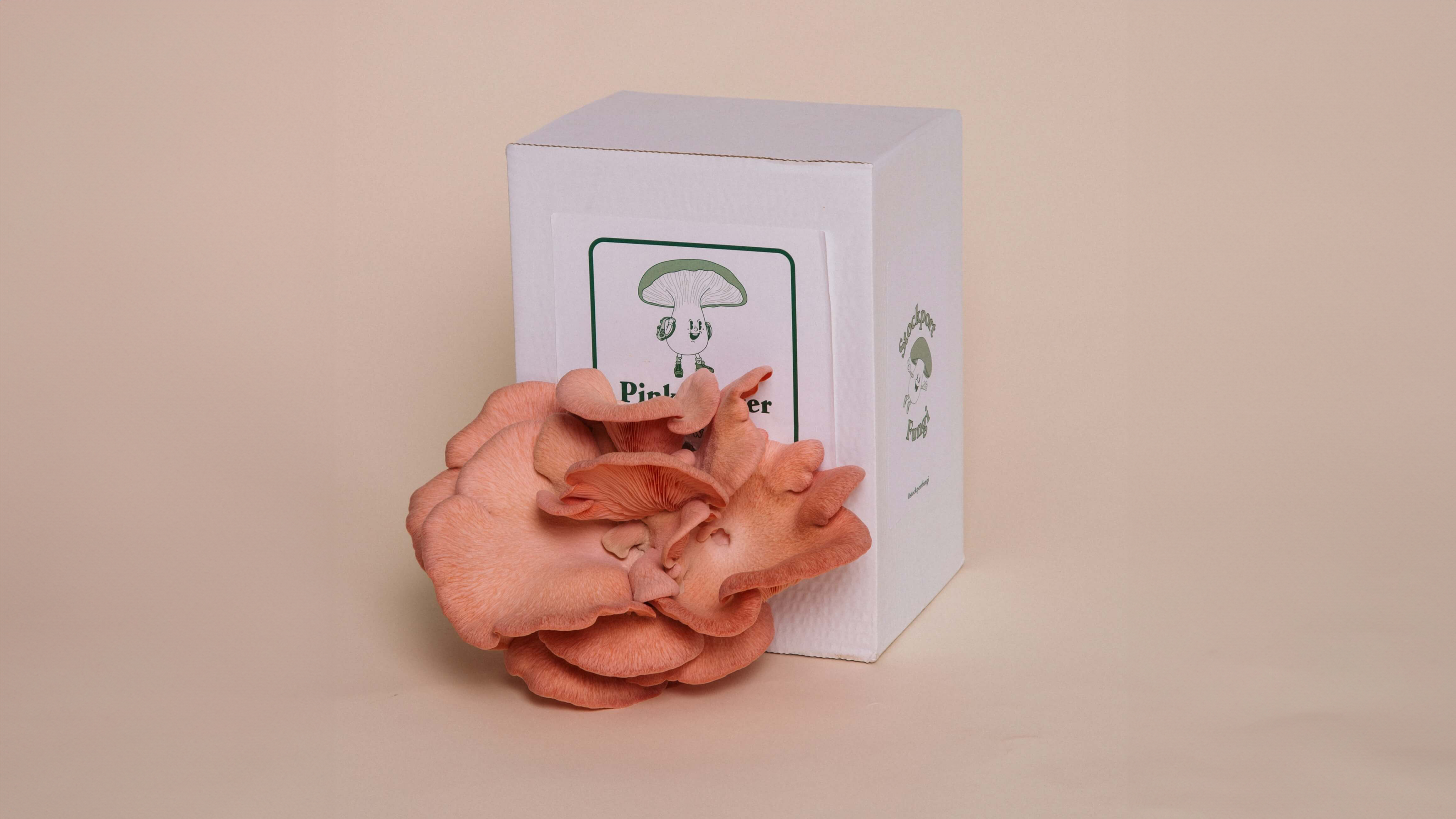 Your Shopping Cart – stockportfungi